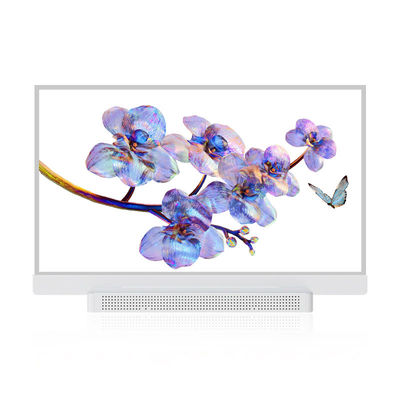 OEM ODM Tela OLED Transparente, 55 Tela OLED Transparente