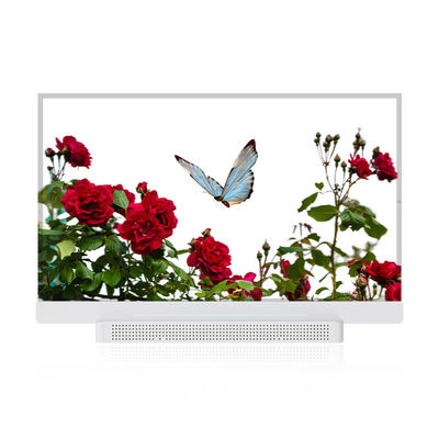 OEM ODM Tela OLED Transparente, 55 Tela OLED Transparente