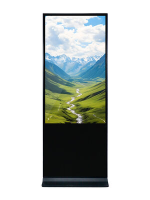 55 polegadas Indoor LCD Digital Signage com 350 Cd/m2 de brilho e Android OS para publicidade e tela de exibição
